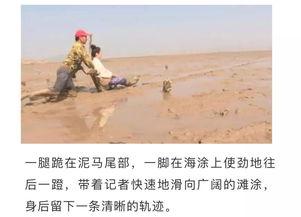 赶小海视频,探寻海洋与生活的交融之美