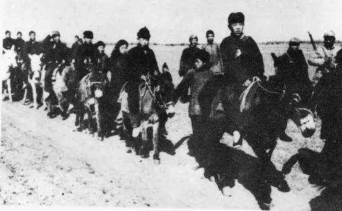 民兵3视频,震撼视效背后的战略力量