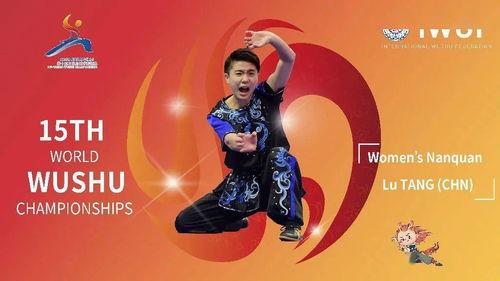 武术南拳视频,视频解析传统武术魅力