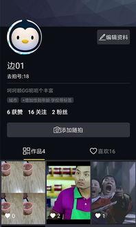 免费小视频软件,轻松畅享娱乐时光的秘密武器